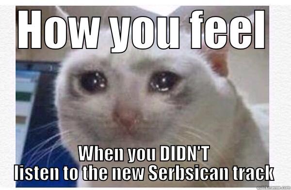 HOW YOU FEEL WHEN YOU DIDN'T LISTEN TO THE NEW SERBSICAN TRACK Misc