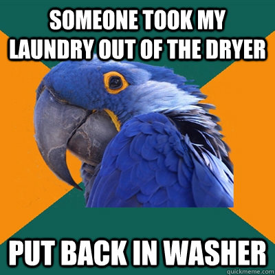 Someone took my laundry out of the dryer Put back in washer  Paranoid Parrot