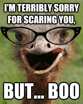 i'm terribly sorry for scaring you, but... Boo   Judgmental Bookseller Ostrich