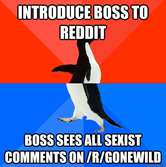 Introduce boss to Reddit Boss sees all sexist comments on /r/gonewild  Socially Awesome Awkward Penguin