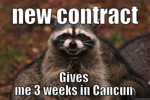  NEW CONTRACT GIVES ME 3 WEEKS IN CANCUN Evil Plotting Raccoon