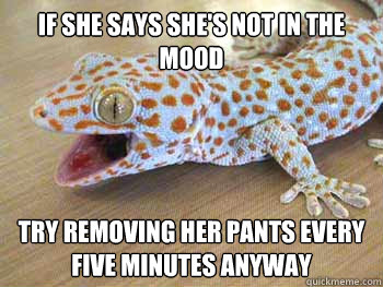 If She Says She's Not In The Mood Try Removing Her Pants Every Five Minutes Anyway  