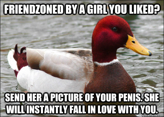 Friendzoned by a girl you liked? send her a picture of your penis. she will instantly fall in love with you.  Malicious Advice Mallard