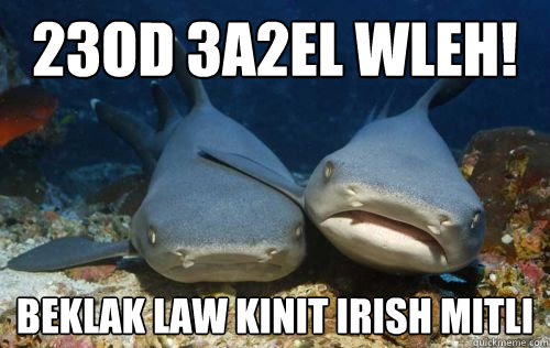 23od 3a2el wleh! beklak law kinit irish mitli  Compassionate Shark Friend