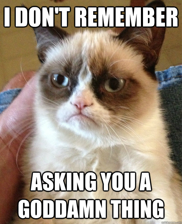 I don't remember asking you a goddamn thing - I don't remember asking you a goddamn thing  Grumpy Cat