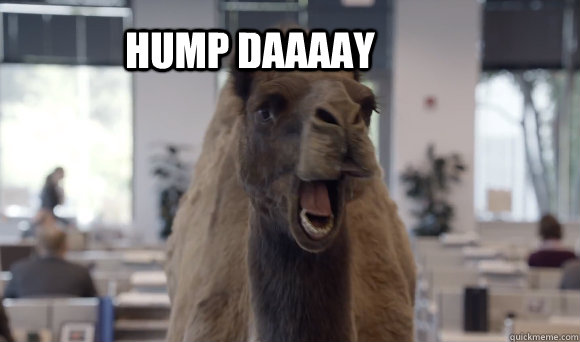 hump daaaay - hump daaaay  hump day