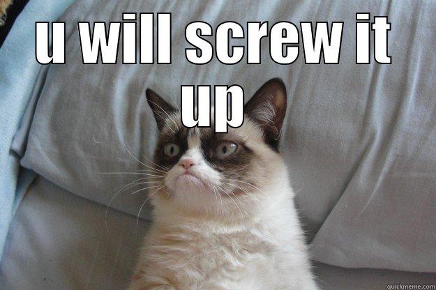 U WILL SCREW IT UP  Grumpy Cat