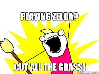 Playing Zelda? Cut all the grass!  All The Things