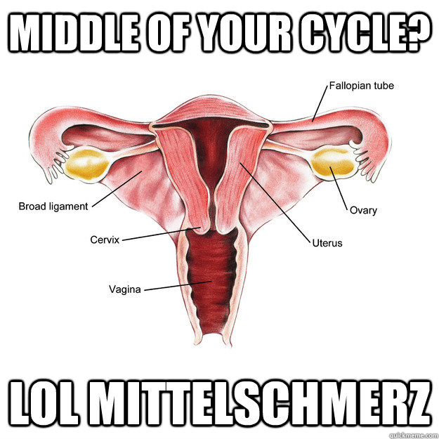 Middle of your cycle? lol mittelschmerz - Middle of your cycle? lol mittelschmerz  Misc