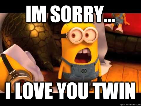 Im sorry... I love you twin  minion