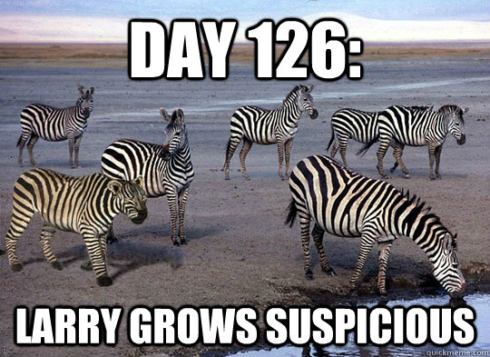 Day 126: Larry grows suspicious - Day 126: Larry grows suspicious  Zebra Lion