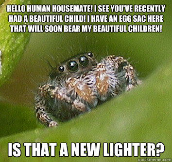 Hello human housemate! I see you've recently had a beautiful child! I have an egg sac here that will soon bear my beautiful children! is that a new lighter?  Misunderstood Spider