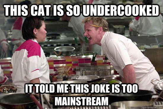 THIS CAT IS SO UNDERCOOKED IT TOLD ME THIS JOKE IS TOO MAINSTREAM - THIS CAT IS SO UNDERCOOKED IT TOLD ME THIS JOKE IS TOO MAINSTREAM  Misc