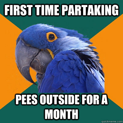 First time partaking  pees outside for a month  Paranoid Parrot