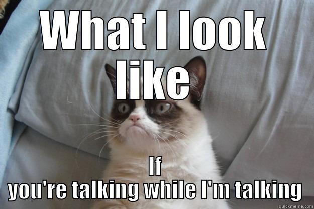 WHAT I LOOK LIKE IF YOU'RE TALKING WHILE I'M TALKING Grumpy Cat