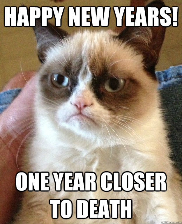 Happy New Years! One year closer to death  Grumpy Cat
