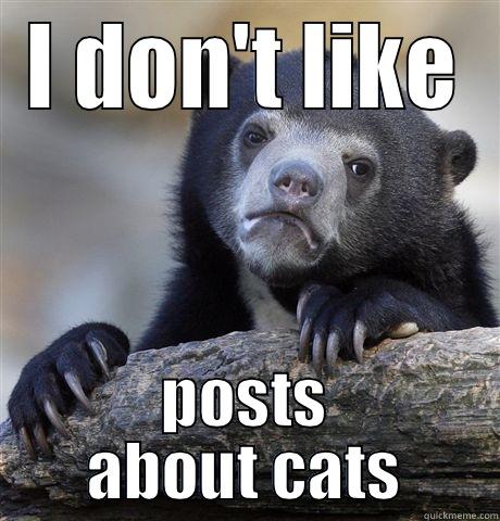 I DON'T LIKE POSTS ABOUT CATS Confession Bear