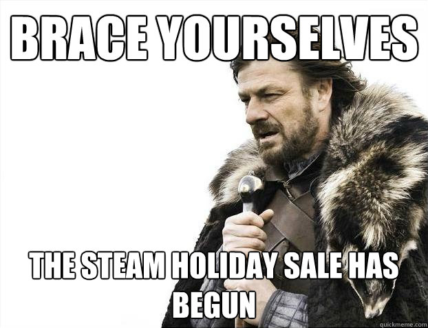 Brace yourselves The Steam Holiday Sale has begun  Brace Yourselves - Borimir
