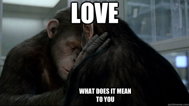Love what does it mean to you  Love