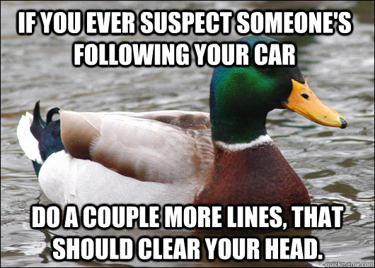 If you ever suspect someone's following your car Do a couple more lines, that should clear your head.  Actual Advice Mallard