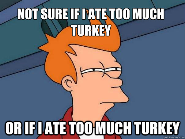 Not sure if i ate too much turkey Or if i ate too much turkey  Futurama Fry