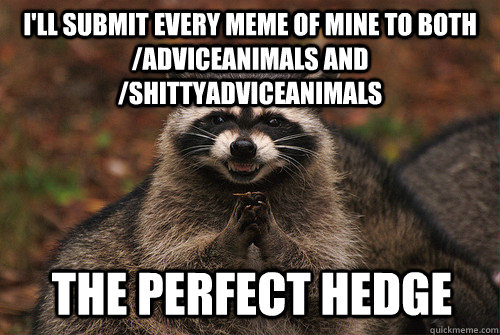 I'll submit every meme of mine to both /adviceanimals and /shittyadviceanimals the perfect hedge  Insidious Racoon 2