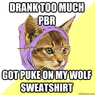 Drank too much PBR Got puke on my wolf sweatshirt  Hipster Kitty