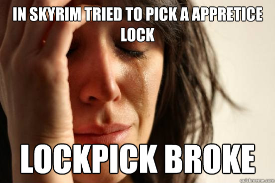 In skyrim tried to pick a appretice lock lockpick broke - In skyrim tried to pick a appretice lock lockpick broke  First World Problems