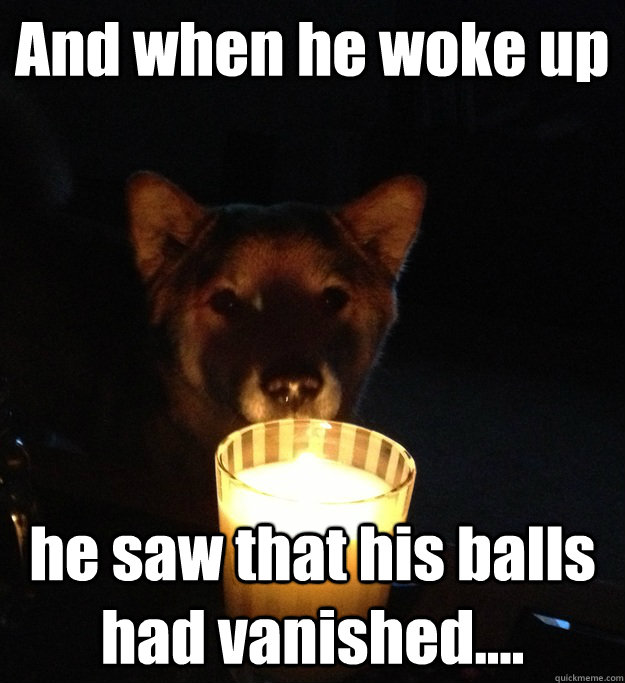 And when he woke up he saw that his balls had vanished....  Scary Story Dog