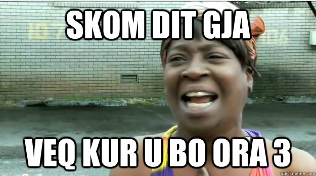 skom dit gja veq kur u bo ora 3  AINT NO BODY GOT TIME FOR DAT