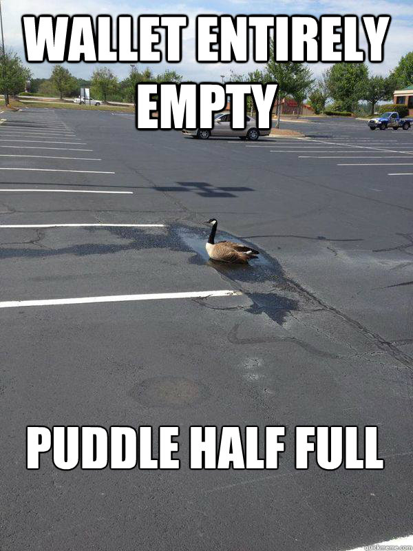 Wallet Entirely Empty Puddle Half FUll - Wallet Entirely Empty Puddle Half FUll  Optimistic Goose