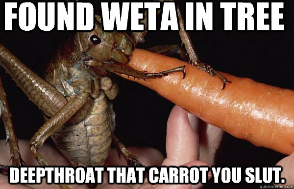 FOUND WETA IN TREE DEEPTHROAT THAT CARROT YOU SLUT.  Giant Weta