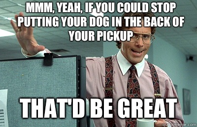 Mmm, yeah, if you could stop putting your dog in the back of your pickup that'd be great  Office Space