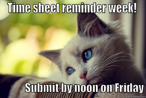 TIME SHEET REMINDER WEEK!                      SUBMIT BY NOON ON FRIDAY First World Problems Cat