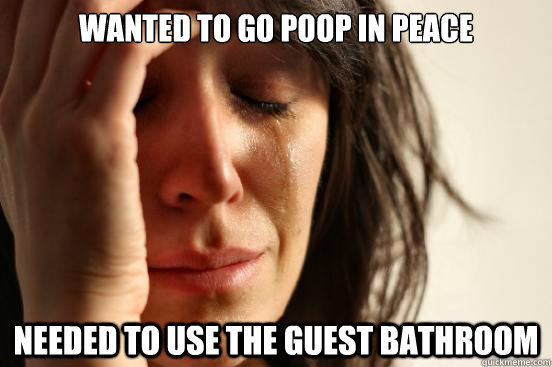 wanted to go poop in peace needed to use the guest bathroom  First World Problems