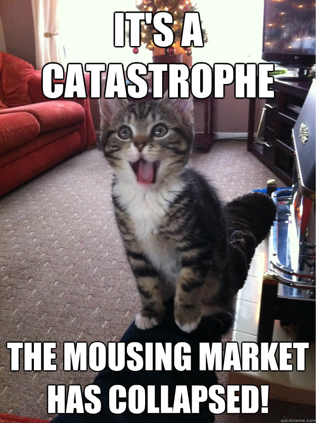 It's a catastrophe The mousing market has collapsed! - It's a catastrophe The mousing market has collapsed!  Catastrophe Kitten