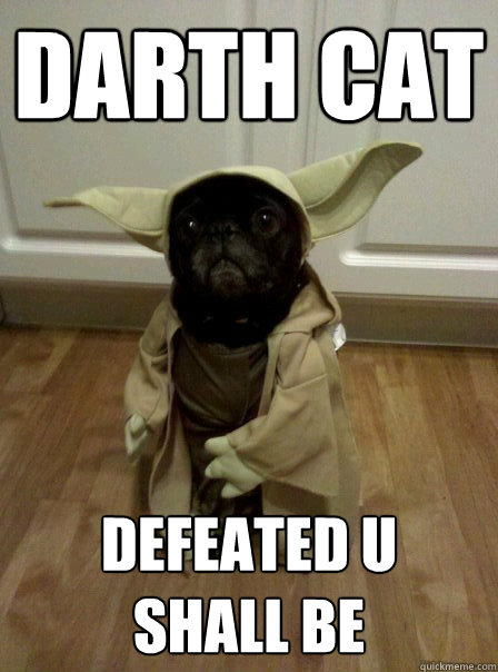 Darth CAT Defeated u  shall be  Yoda