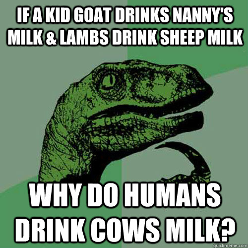 If a kid goat drinks nanny's milk & lambs drink sheep milk Why do humans drink cows milk?  Philosoraptor