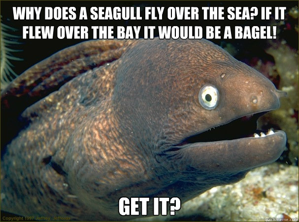 Why does a seagull fly over the sea? If it flew over the bay it would be a bagel!
 GET IT? - Why does a seagull fly over the sea? If it flew over the bay it would be a bagel!
 GET IT?  Misc