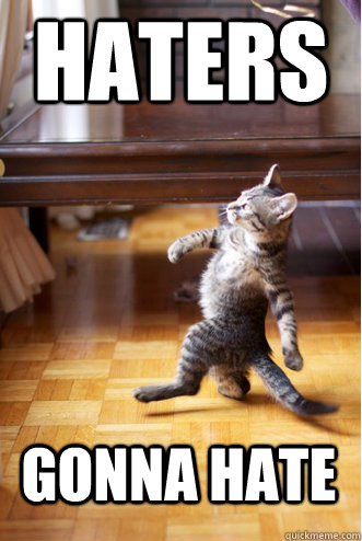 HATERS GONNA HATE - HATERS GONNA HATE  Pimp Strut Cat