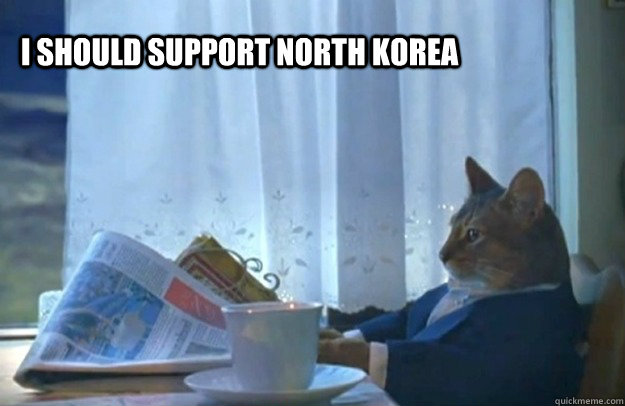 I should support north korea  Sophisticated Cat