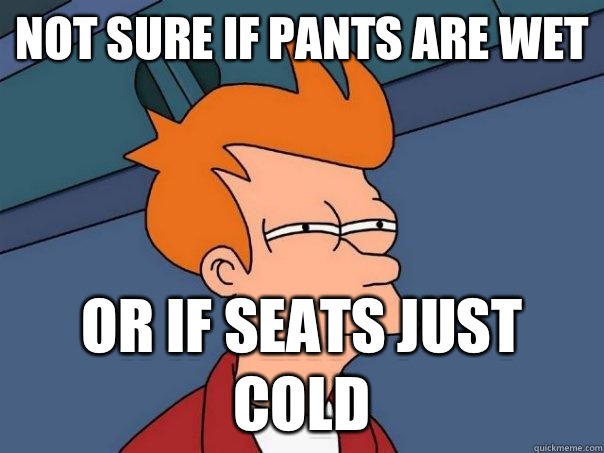 Not sure if pants are wet Or if seats just cold  Futurama Fry