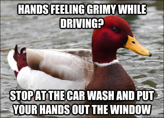 Hands feeling grimy while driving? Stop at the car wash and put your hands out the window  Malicious Advice Mallard