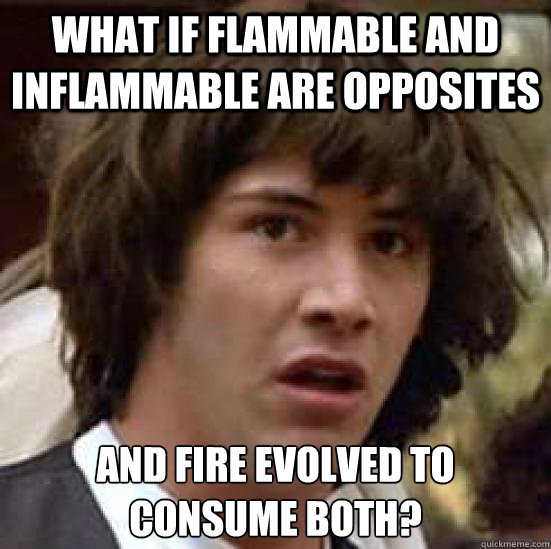 What if flammable and inflammable are opposites and fire evolved to consume both?  conspiracy keanu