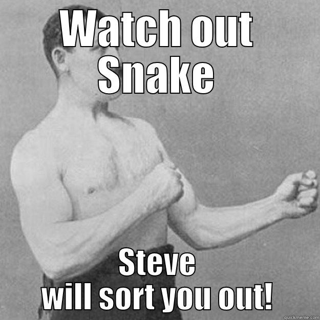 SNAKES ALIVE - WATCH OUT SNAKE STEVE WILL SORT YOU OUT! overly manly man