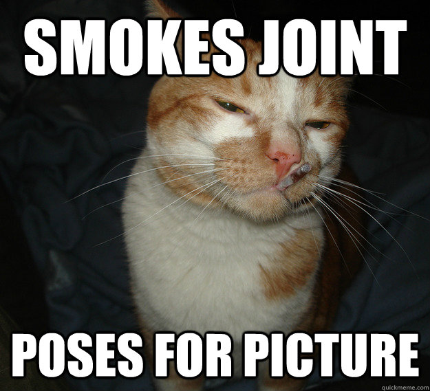 Smokes Joint Poses for picture  Cool Cat Craig