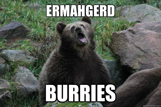 ERMAHGERD BURRIES  