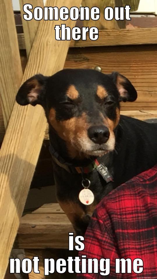 SOMEONE OUT THERE IS NOT PETTING ME Misc
