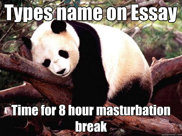 Types name on Essay Time for 8 hour masturbation break  Procrastination Panda
