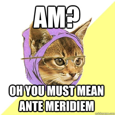 AM? Oh you must mean Ante Meridiem  Hipster Kitty